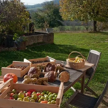 La Grange Du Bed & Breakfast Saint-Antoine (Isere)