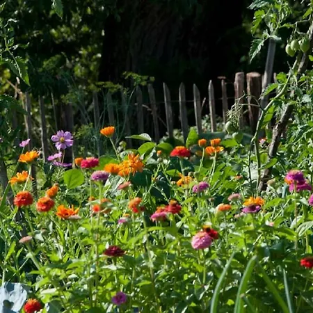 Bed & Breakfast La Grange Du